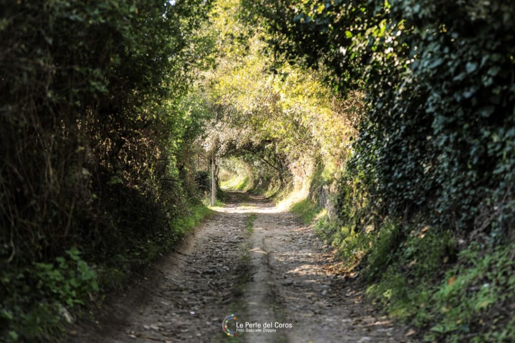 Strada romana San Leonardo